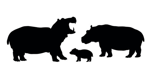 Hippos. Silhouette of hippos and baby hippo. Animal Family. Isolated. Vector illustration