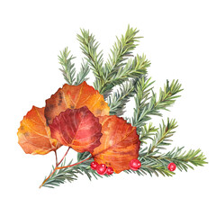 Autumn bouquet. Watercolor hand-drawn orange leaves with red currant and green fir isolated on white background. Forest nature plant foliage. Clipart for halloween, wallpaper or wrapping, sketchbook