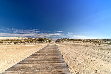 Fototapeta na wymiar Board walk leads to a bright afternoon beach setting - Assateague, MD, USA