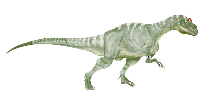 中生代ジュラ紀後期（約1億5,500万 - 1億4,500万年前）の北アメリカに生息していた大型肉食獣脚類である。同時代の食物連鎖の頂点にいた恐竜の一つ。アロサウルスは大きな頭、短く太い首、長く重厚な尾、後肢に比べて短い上肢といった特徴を持つ典型的な大型獣脚類である。アロサウル上科には多くの大型恐竜が属している。
