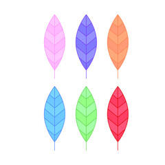 colored feathers. Ethnic style. Vector illustration. 