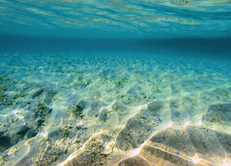 coral reef in the blue sea