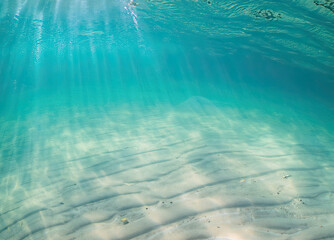underwater scene with bubbles