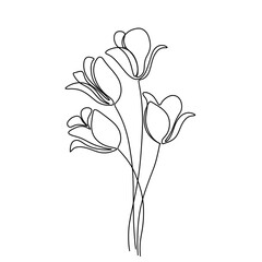 Flower and plant continuous single line art drawing. Tulip flower minimal art style. Tulip flower continuous line art illustration.