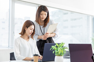 オフィスで働く女性二人　Business