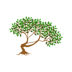 tree and roots vector illustrations, mangrove tree