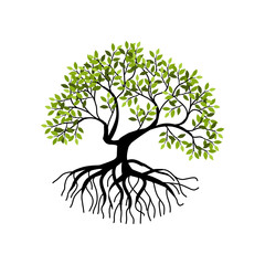 tree and roots vector illustrations, mangrove tree