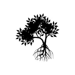 mangrove tree vector silhouette, black and white colors