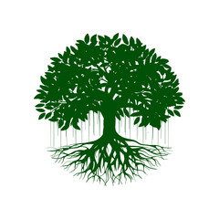 Banyan tree vector illustration. roots of banyan tree.