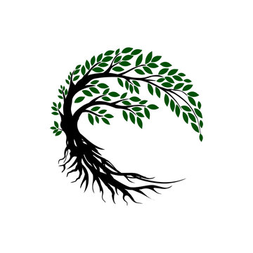 Circle Tree" Images – Browse 123 Stock Photos, Vectors, and Video | Adobe  Stock