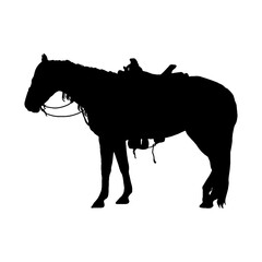 horse silhouette vector - obrazy, fototapety, plakaty