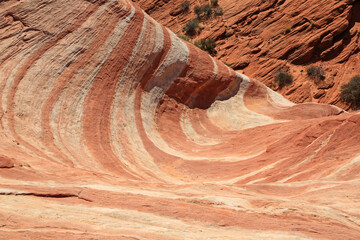 Fire Wave - Valley of Fire State Park, Nevada