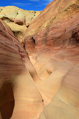 Pastel Canyon vertical - Valley of Fire State Park, Nevada