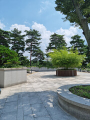 It is an outdoor park with sidewalk blocks.