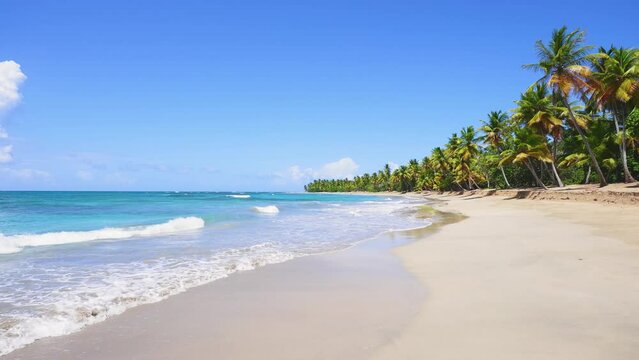 Landscape of a pristine clean beach and transparent sea wave on a tropical Hawaiian island. The most beautiful beaches in the world. Palm beach background. Long video without people, copy space.