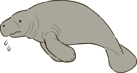 悲しむマナティー