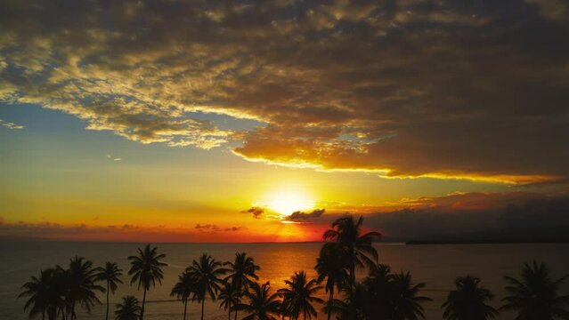 Landscape of sunset sea beach. Silhouettes of palm trees on the background of the fiery sun. Sunset on the sea surface. Beautiful sunrise over a tropical beach. Green palms against the orange sky.