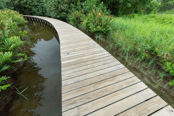 Wooden trail in Hong Kong wetland park