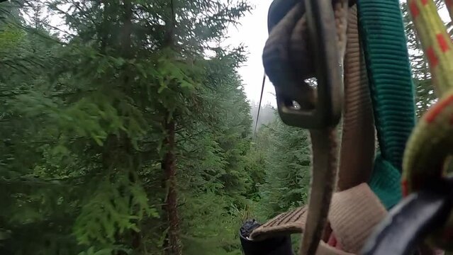 Ziplining Through treetops in Seward, Alaska, USA
