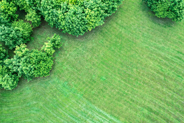 summer park landscape. green deciduous trees on green lawn in sunny day. aerial view.