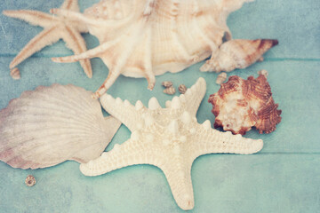 Fototapeta na wymiar Concept of the summer time with fish star and sea shells on the wooden blue background