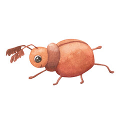 Cute smiling character beetle isolated on white background. Funny insect for children. Watercolor cartoon illustration