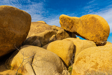 Fototapeta na wymiar Balanced Rock at White Tank, Joshua Tree National Park, California, USA