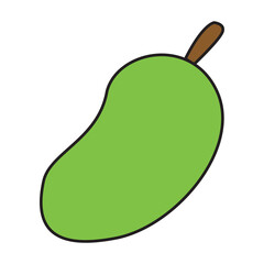 mango vector illustration