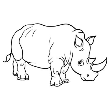 rhino sketch vector illustration