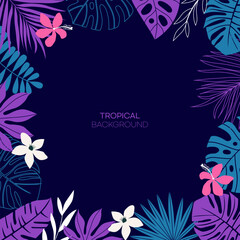 summer tropical background
