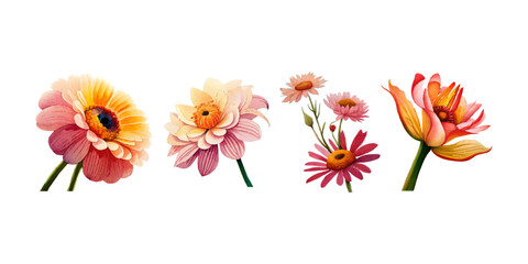 Collection of drawn watercolor flowers