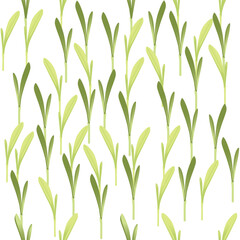 Seamless pattern microgreen superfood sprouts corn healthy nutrition vector illustration on white background