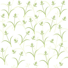 Seamless pattern microgreen superfood sprouts carrot healthy nutrition vector illustration on white background