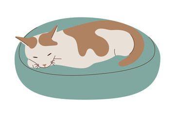 A cute cat with brown spots lies and sleeps on a cat bed. Flat design style. Vector illustration.