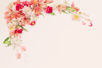 alstroemeria flowers on white  background
