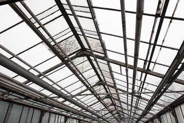 Fototapeta premium Metal frames inside the greenhouse.