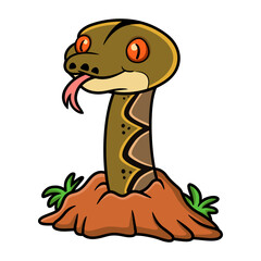Cute reticulatus python cartoon out from hole