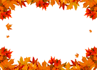 autumn leaf isolated vibrant for background space for your text