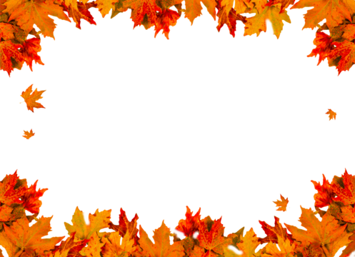 autumn leaf isolated vibrant for background space for your text