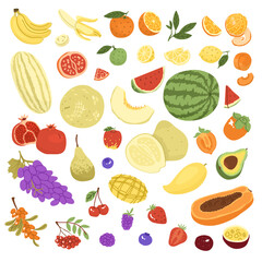 A set of fruits after harvest. Farm products, organic farming. Different types of fruits. Melon, watermelon, berries, citrus. Vector illustration for farmers and food markets.