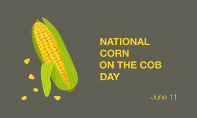 National Corn on the Cob Day banner on June 11th. Cob of sweet golden corn, grains, maize. Summer food vector illustration