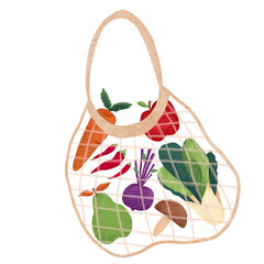 Eco friendly net bag isolated illustration on white background 