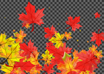 Orange Foliage Background Transparent Vector. Plant November Design. Yellow Bright Leaf. Flying Leaves Frame.