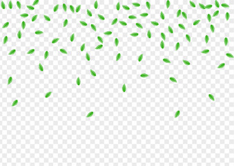 Light Green Greenery Background Transparent Vector. Vegetation Clear Texture. Abstract Design. Greenish Peaceful Illustration. Sheet Creative.