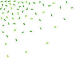 Green Leaves Background White Vector. Greenery Line Texture. Pattern Design. Greenish Eucalyptus Illustration. Sheet Woods.