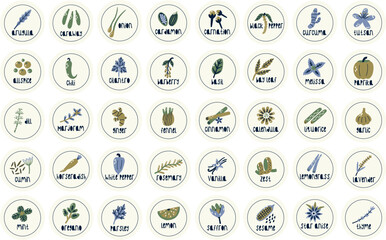 Circle Label Spice and Herb Collection. Flat vector nature botanical set elements