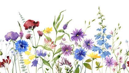 Watercolor spring wildflowers seamless border, Floral botanical background