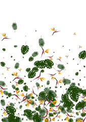 Red Hibiscus Background White Vector. Tree Spring Design. Pink Flower. Wrapping Backdrop. Orange Modern Frame.