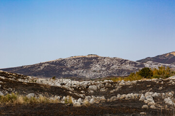 野焼き直後の平尾台　福岡県北九州市