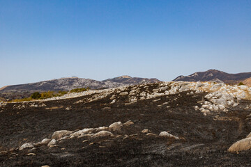 野焼き直後の平尾台　福岡県北九州市